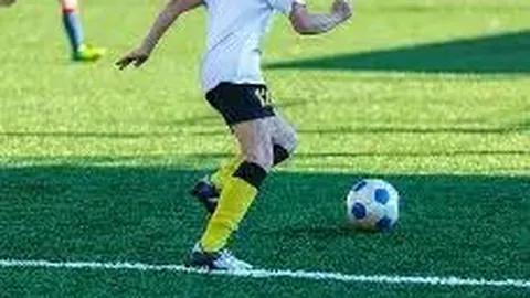 鞍山市体育中心训练学校乒乓球馆维修项目招标启事