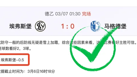 锡瓦斯防守稳定性及持续表现分析