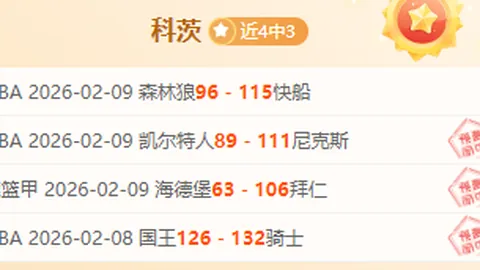 B费与C罗球风对决：若B费球技更流畅，葡萄牙队内谁需为C罗节奏负责？