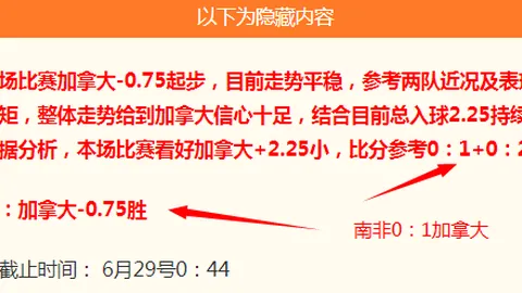 澳南联精彩对决解析：18点墨尔本猛虎迎战桑德林汉姆全面分析